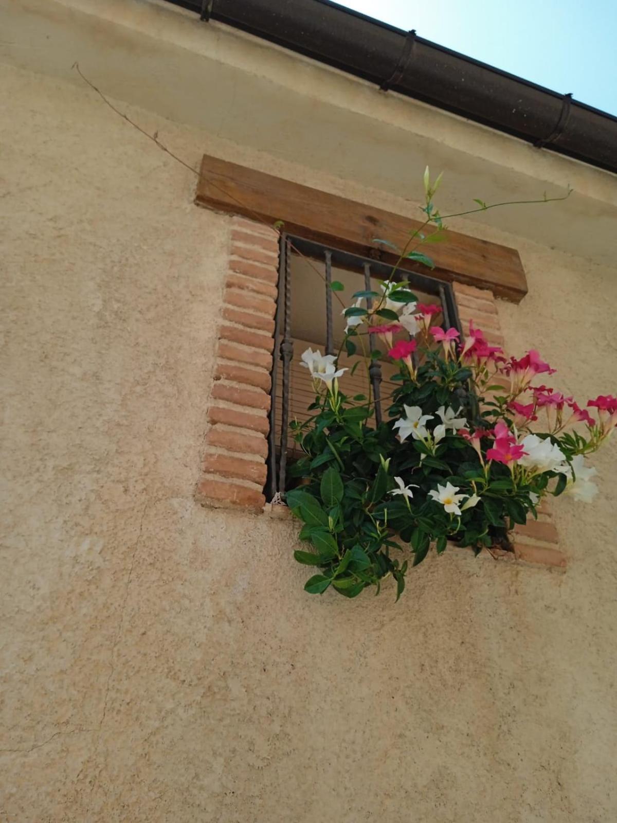 Ferienwohnung Cal Tom La Vilella Baixa Exterior foto