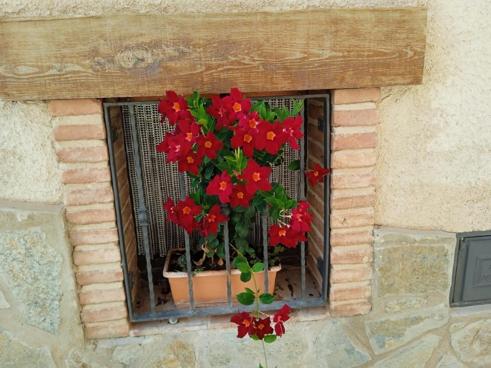 Ferienwohnung Cal Tom La Vilella Baixa Exterior foto